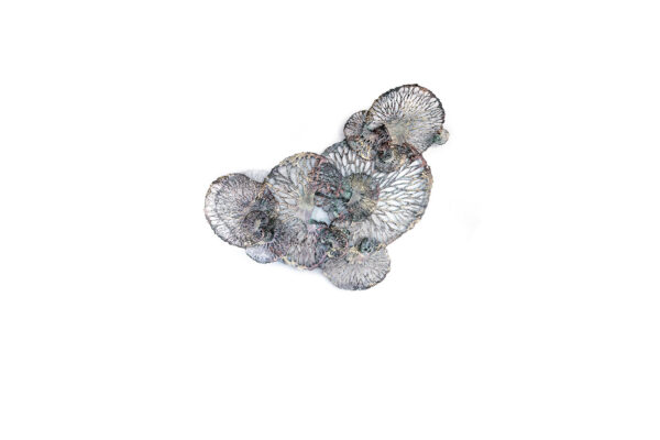 Mirage coral leaves sculpture