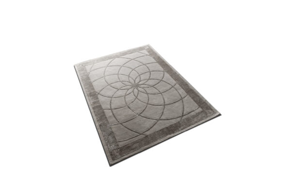 Vision marcus carpet