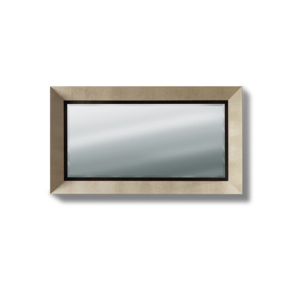 Lifetime mirror